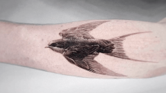 Kuş Dövme Modelleri ve Çeşitleri