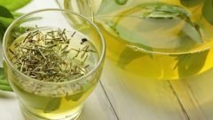 YEŞİL ÇAY’IN FAYDALARI VE YAPILIŞI